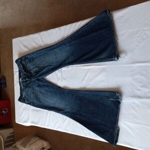 Lucky Brand Zoe Boot Jeans Regular Inseam (Size 8/29)